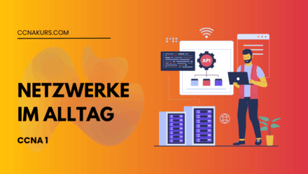 Netzwerke im Alltag: Eine vernetzte Welt ohne Grenzen